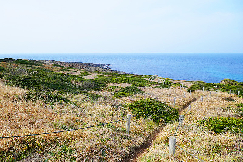 角島牧崎の風景