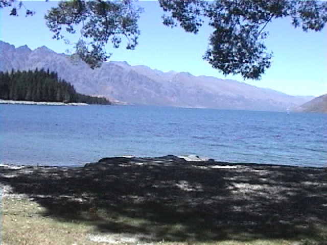 ワカティプ湖畔の木陰