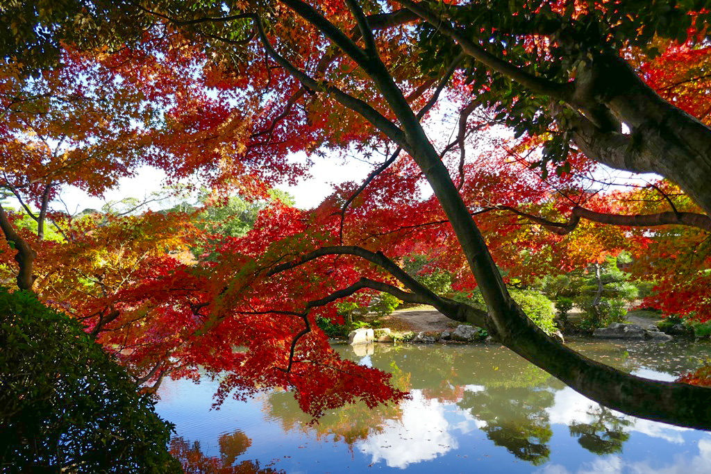 紅葉がきれいな長府庭園