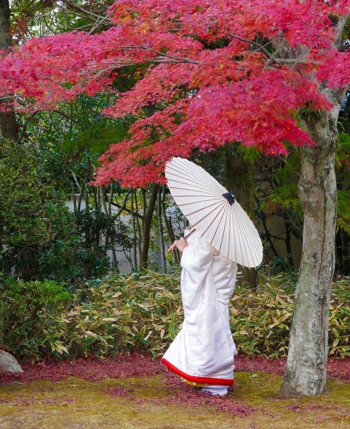 紅葉がきれいな長府庭園　花嫁さんの記念写真