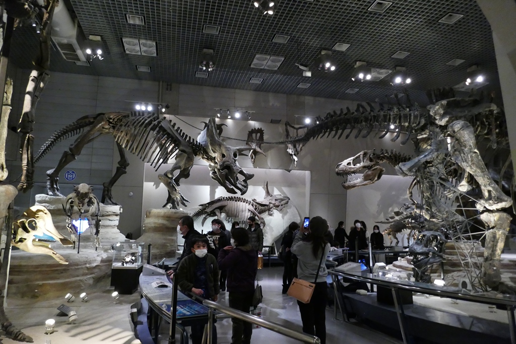 科博の恐竜展示
