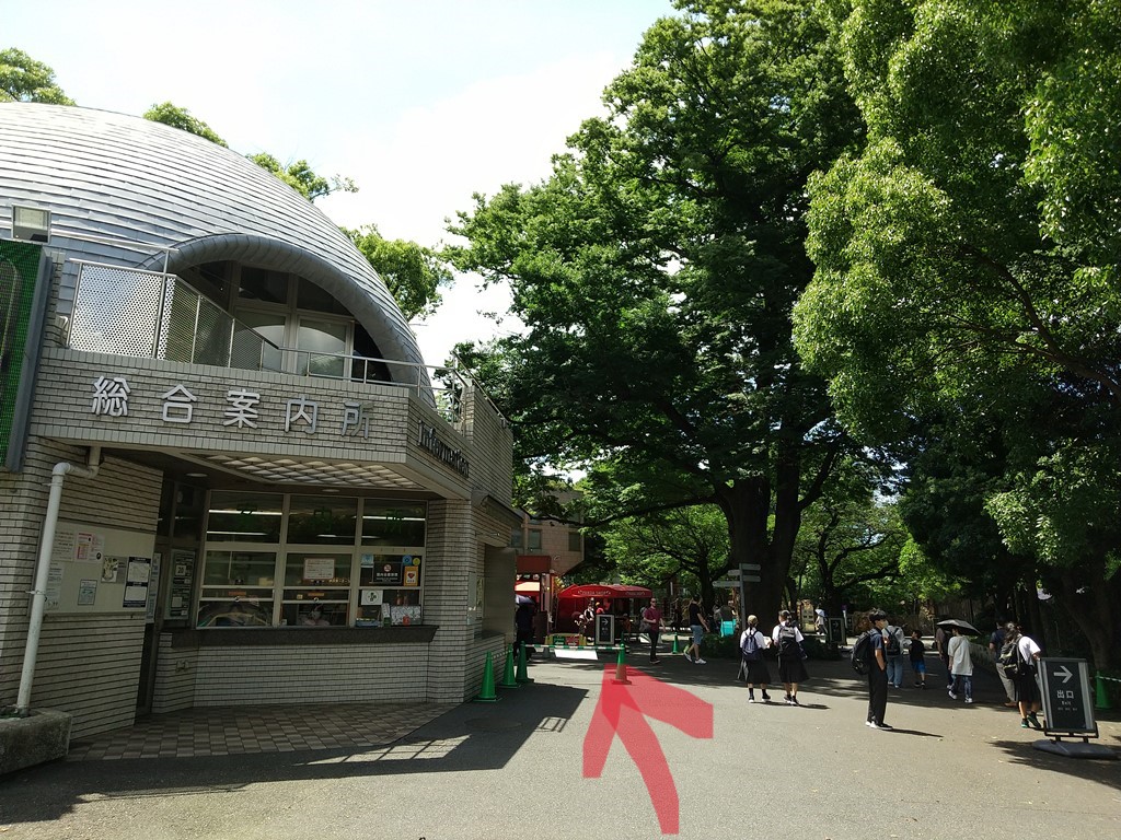 上野動物園　パンダ　行き方