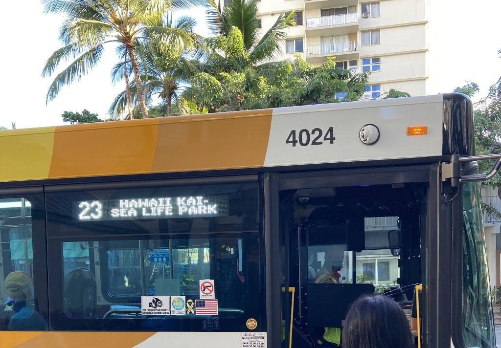 ダイヤモンドヘッド登山　ハワイ旅行　Diamond Head Hawaii