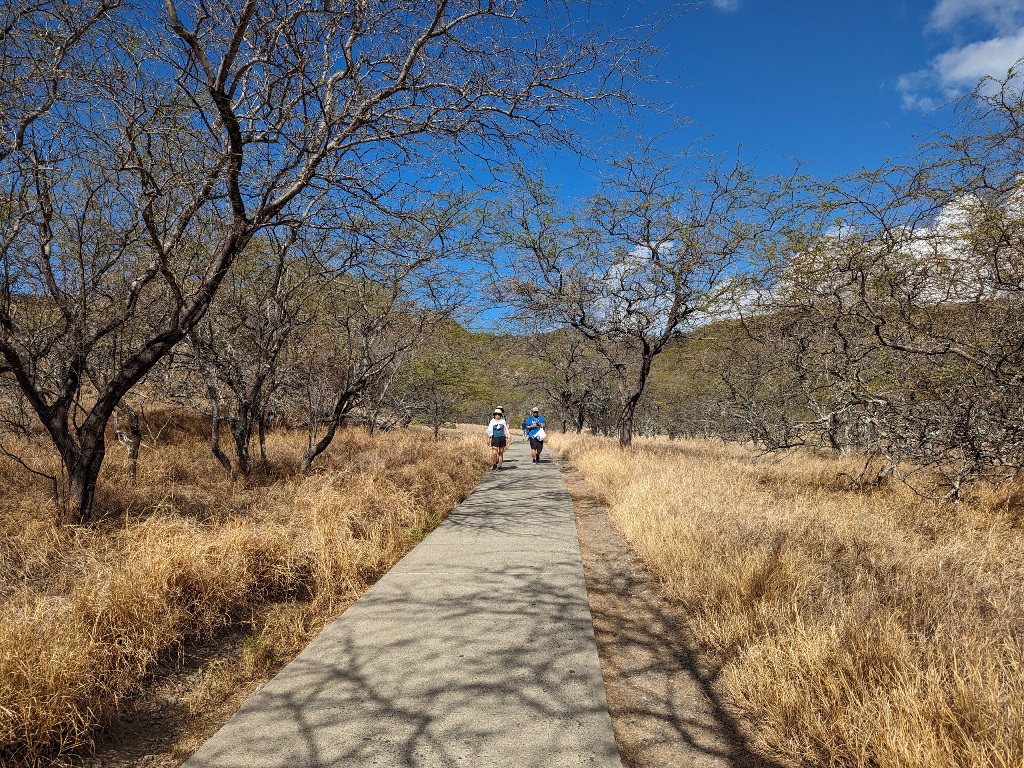 ダイヤモンドヘッド登山　ハワイ旅行　Diamond Head Hawaii