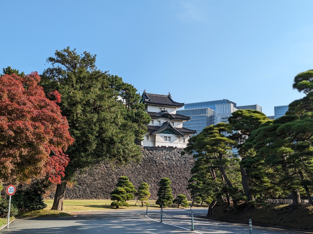 皇居乾通り　秋の一般公開