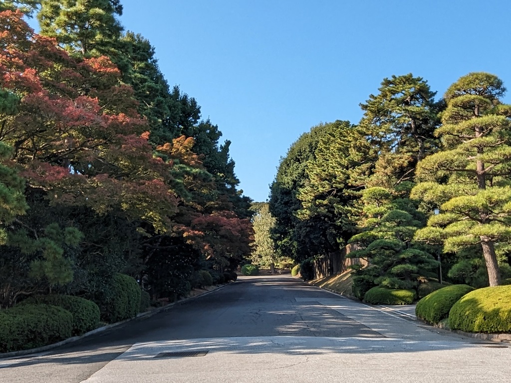 皇居乾通り　秋の一般公開