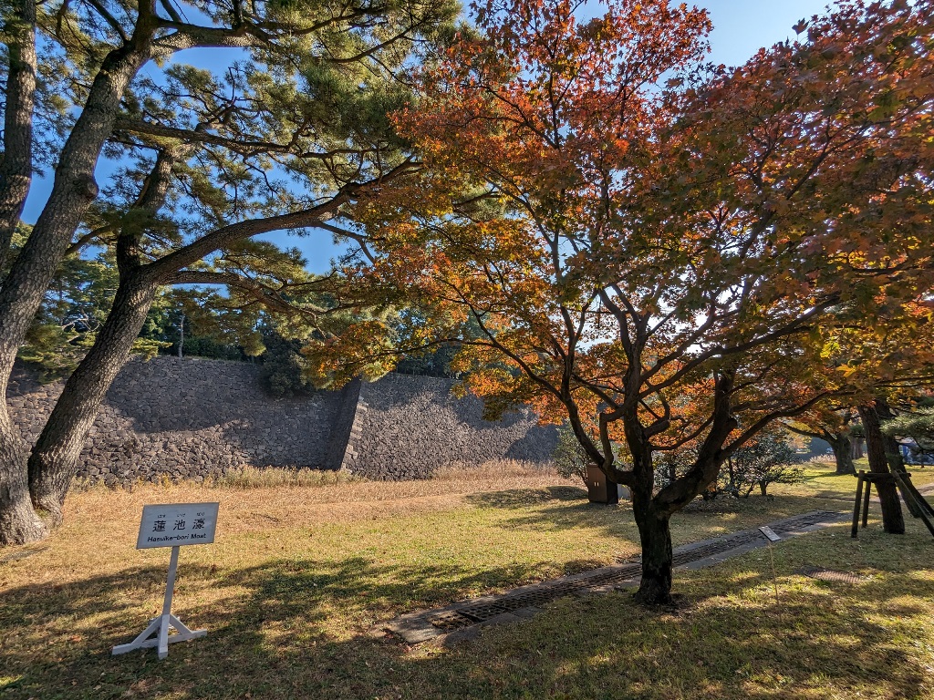 皇居乾通り　秋の一般公開