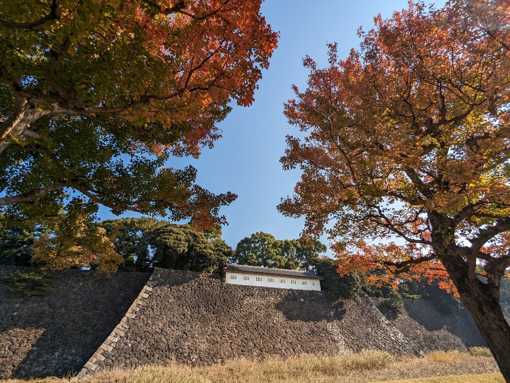 皇居乾通り　秋の一般公開