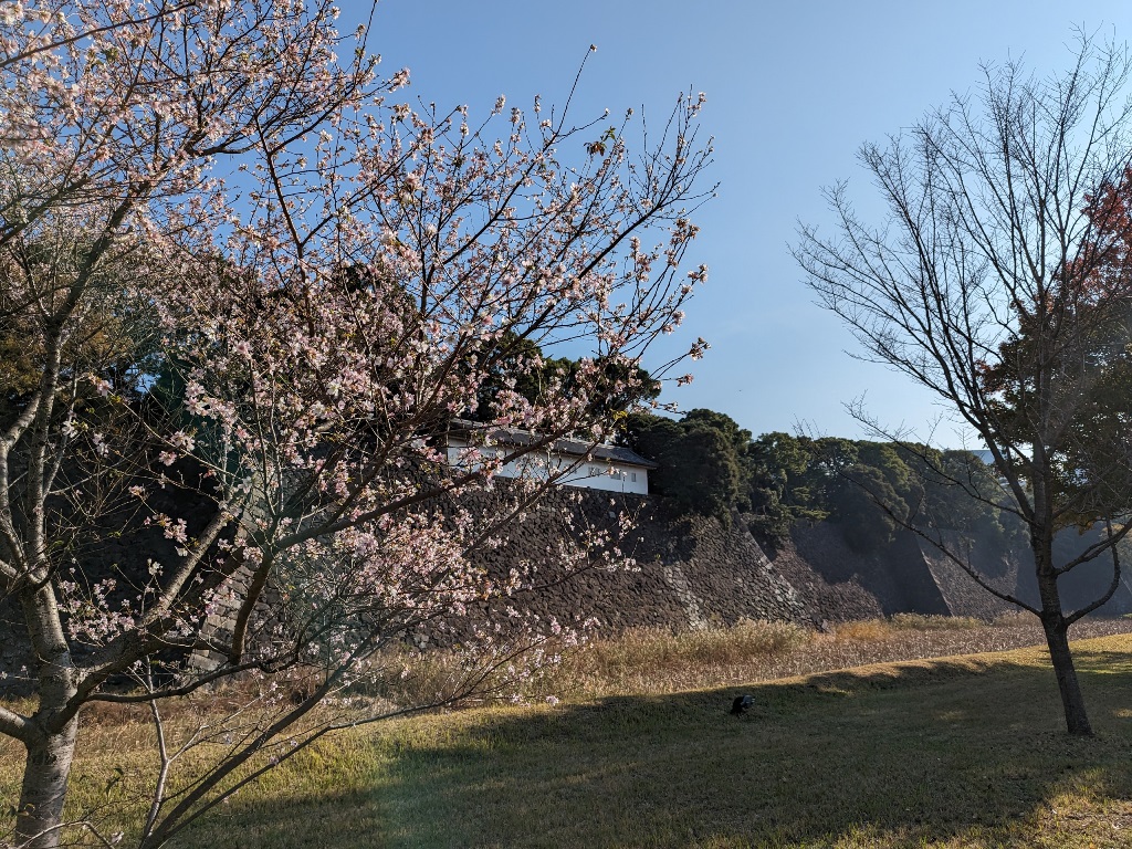 皇居乾通り　秋の一般公開