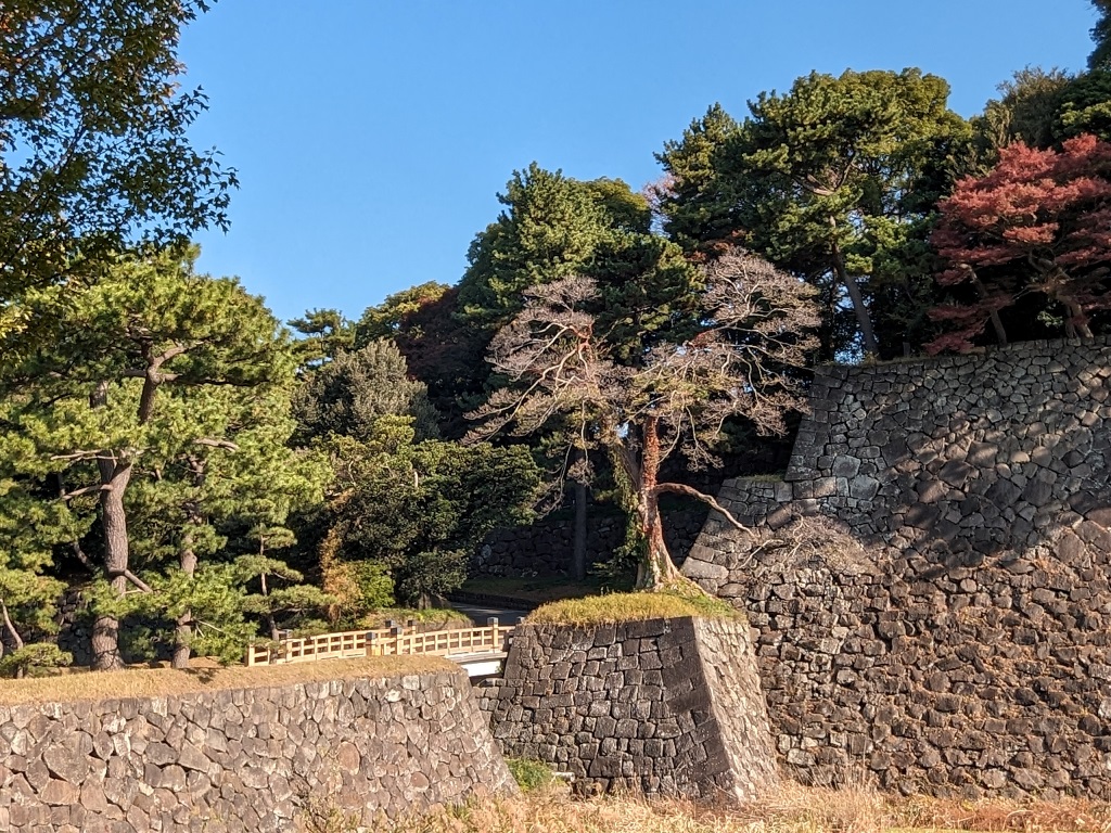 皇居乾通り　秋の一般公開