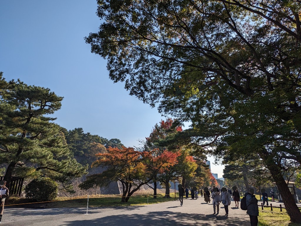 皇居乾通り　秋の一般公開