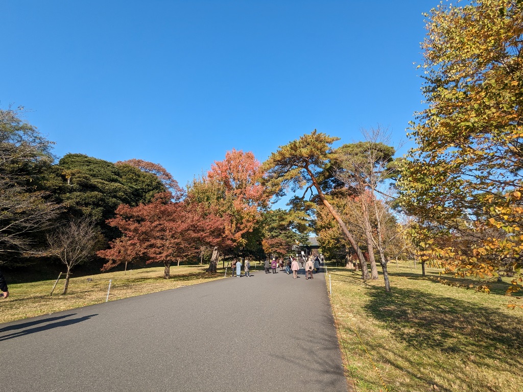 皇居乾通り　秋の一般公開