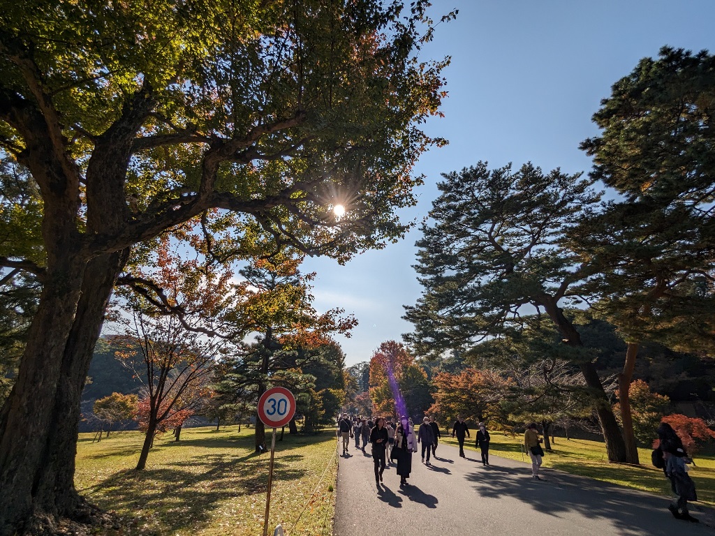 皇居乾通り　秋の一般公開