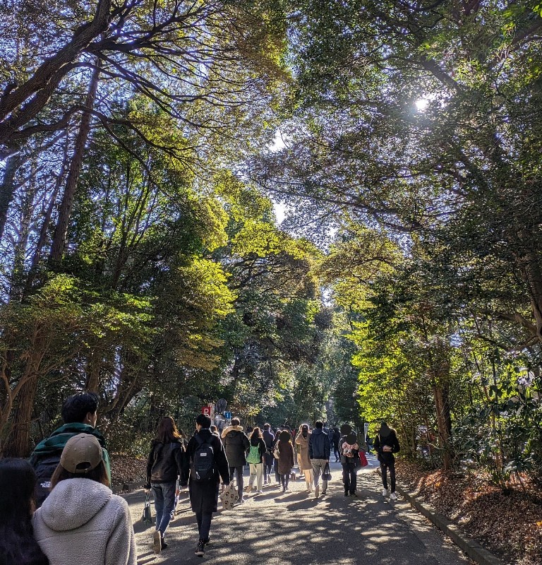 明治神宮　初詣　混雑なし　西神門